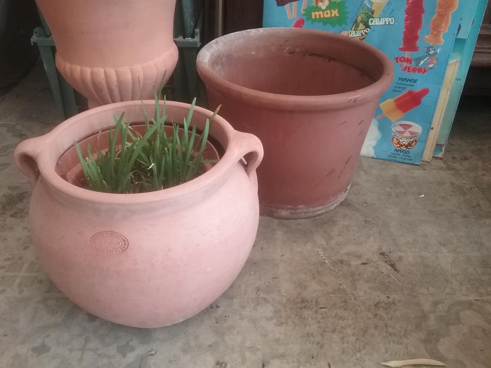 JOLI POT TERRE CUITE MM