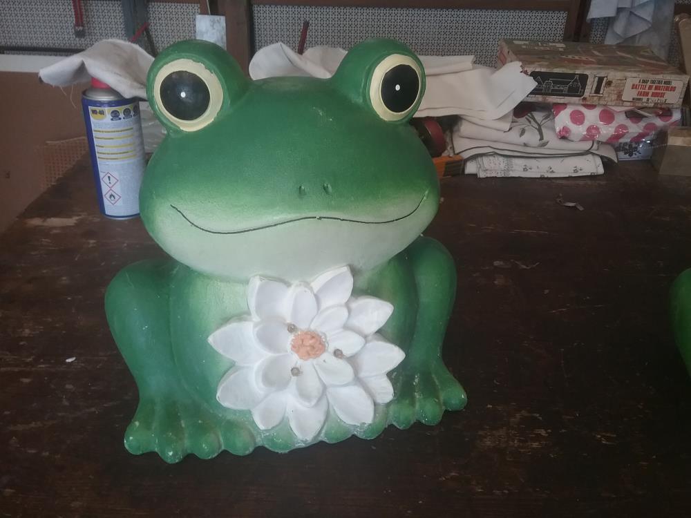 GRENOUILLE LUMINEUSE 