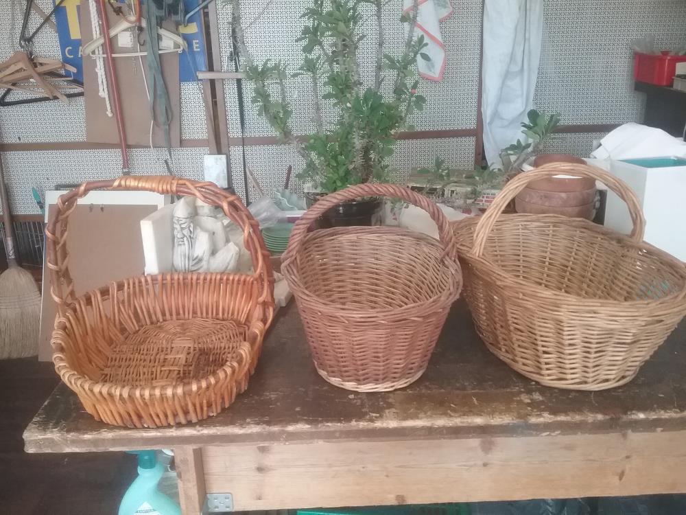PANIER OSIER
