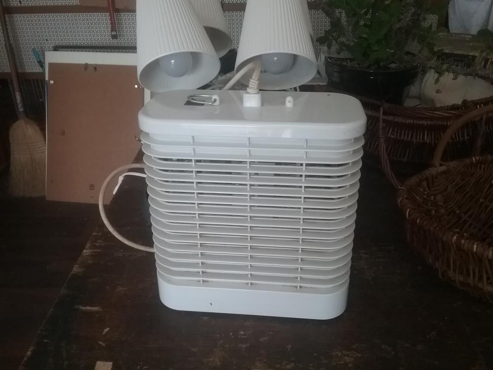 LAMPE INSECTE