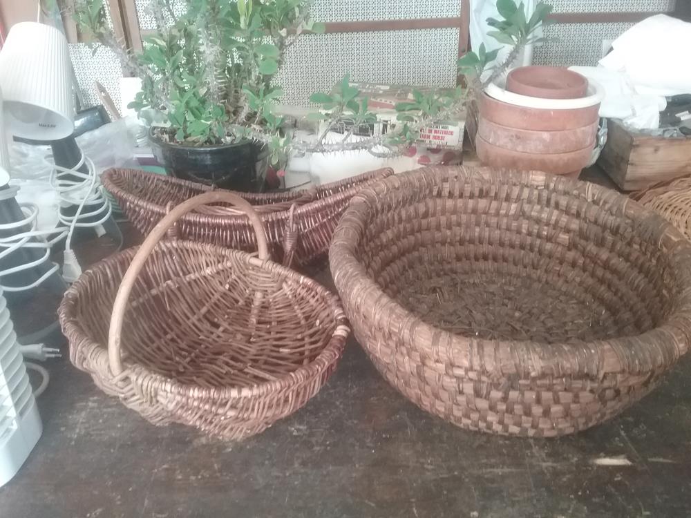 PANIER OSIER