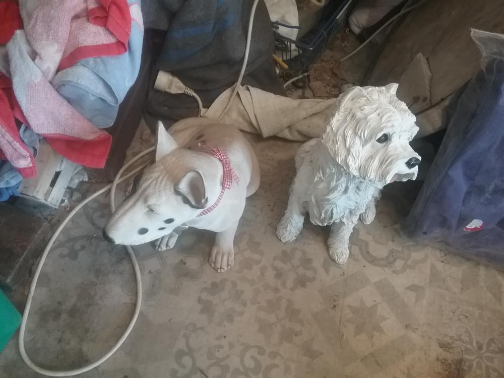 CHIEN GM DECO
