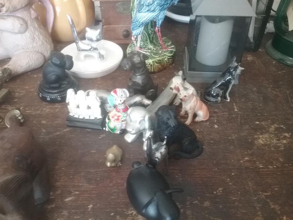 ANIMAL DECO PM