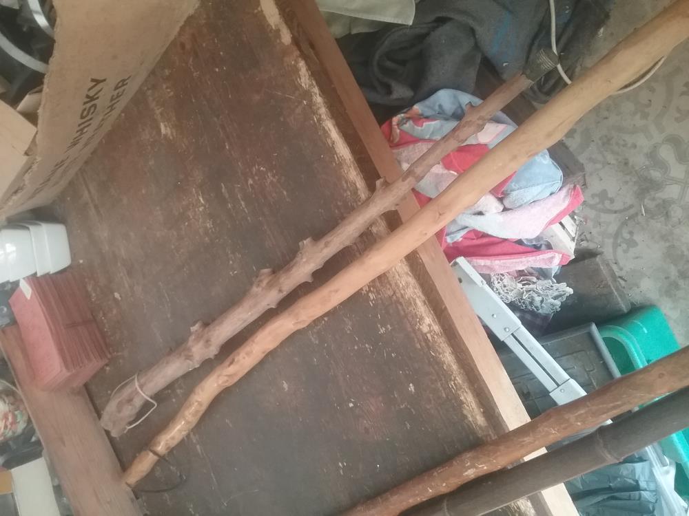 BATON DE MARCHE GM