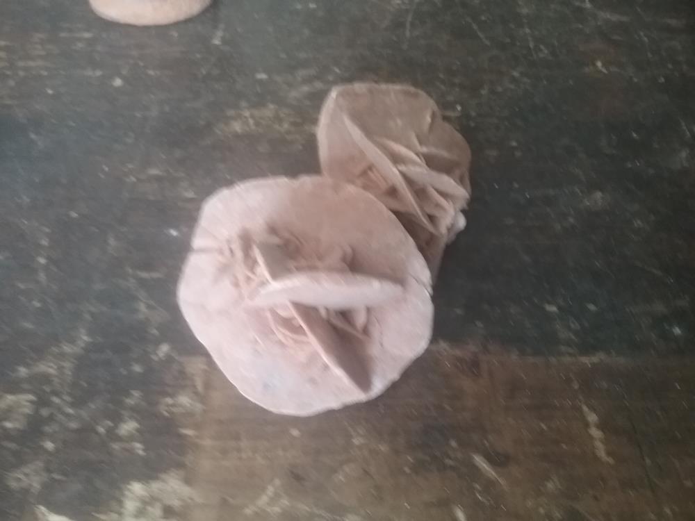 ROSE DES SABLES PM