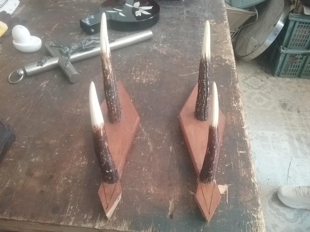 PAIRE DE PORTE FUSILS DOUBLE 