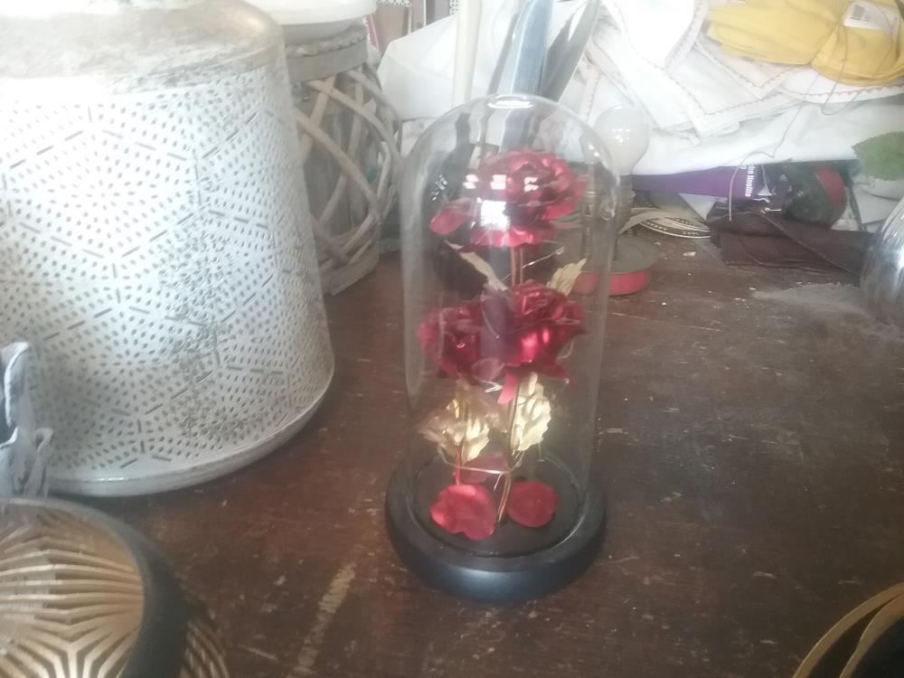 ROSES SOUS GLOBE
