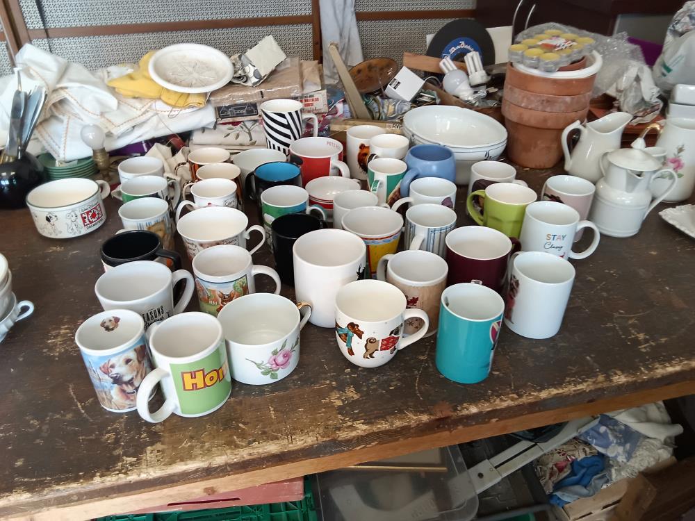 MUG DIVERS