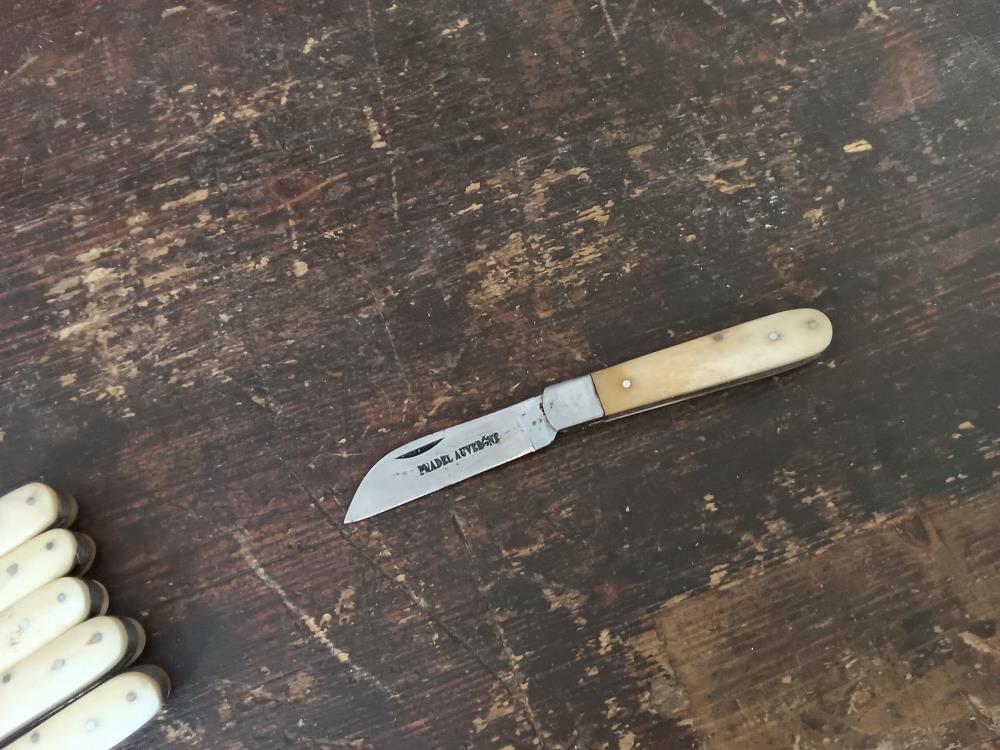 COUTEAU PLIANT PRADEL