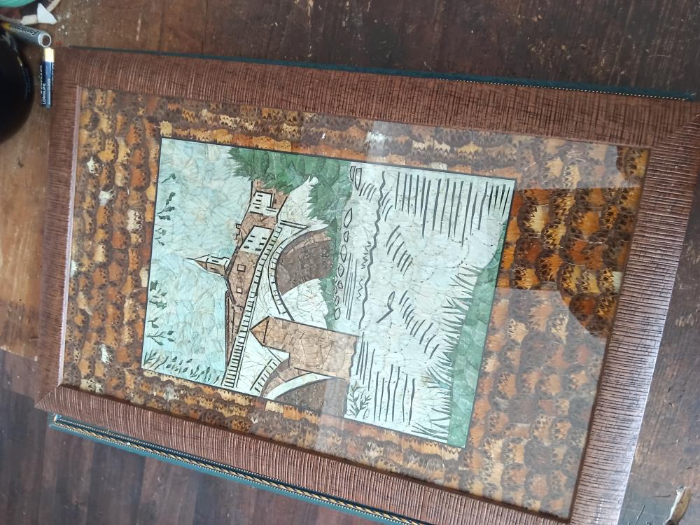 TABLEAU EN AILES DE PAPILLONS