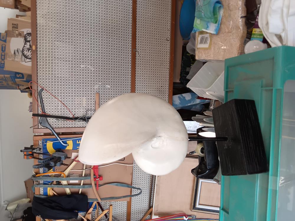 SCULPTURE COQUILLAGE BLANC