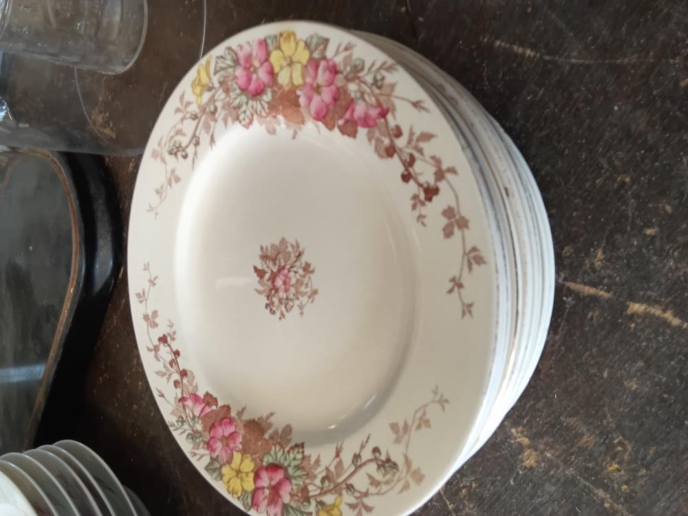 13 ASSIETTES LUNEVILLE