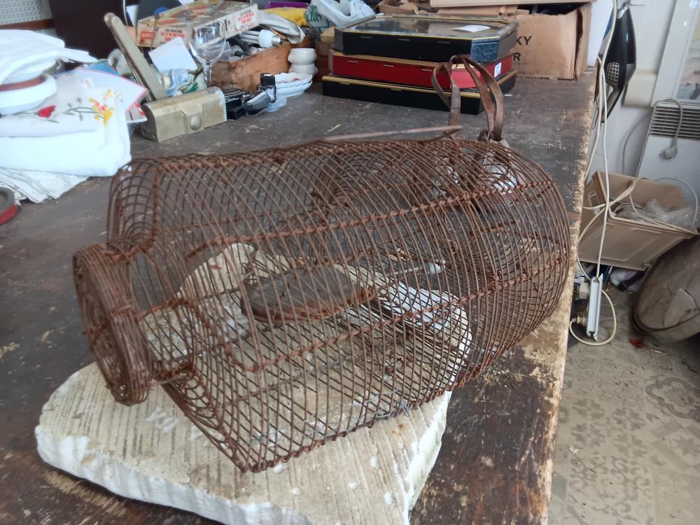 CAGE ROUILLEE