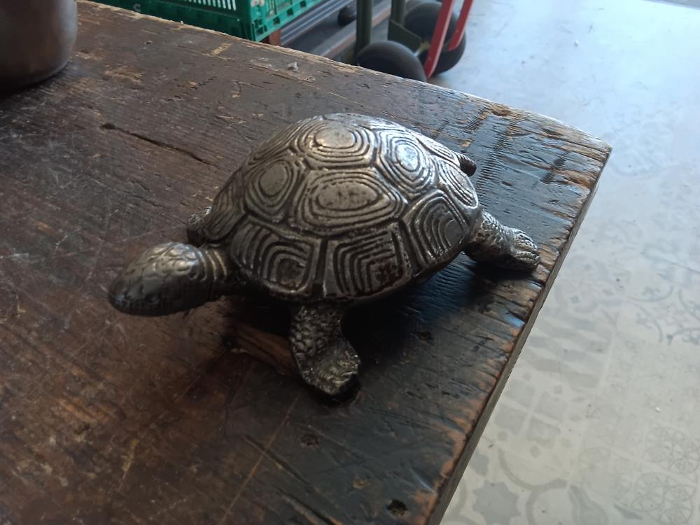 TORTUE BRONZE