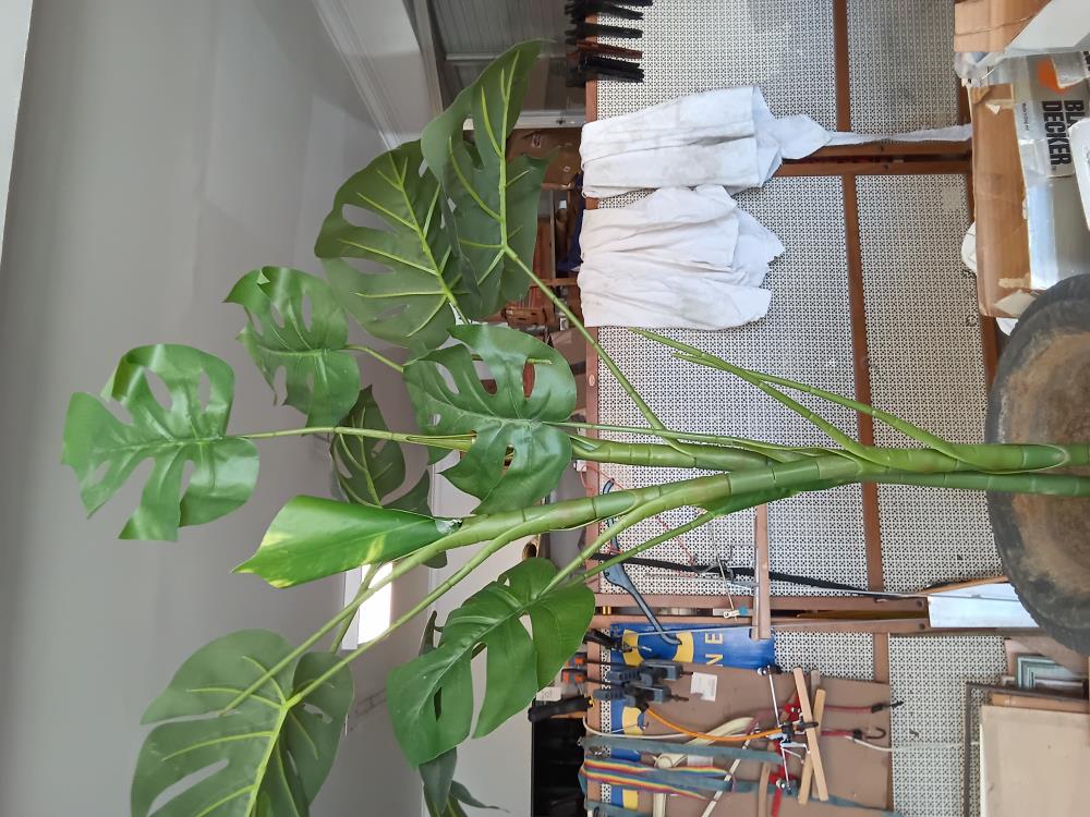 PLANTE ARTIFICIELLE 