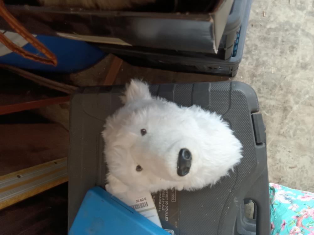 TROPHEE PELUCHE PM