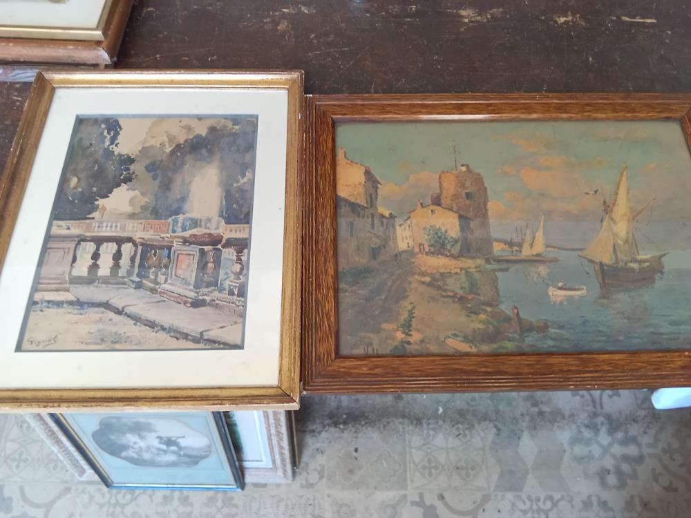 BELLE REPRODUCTION 