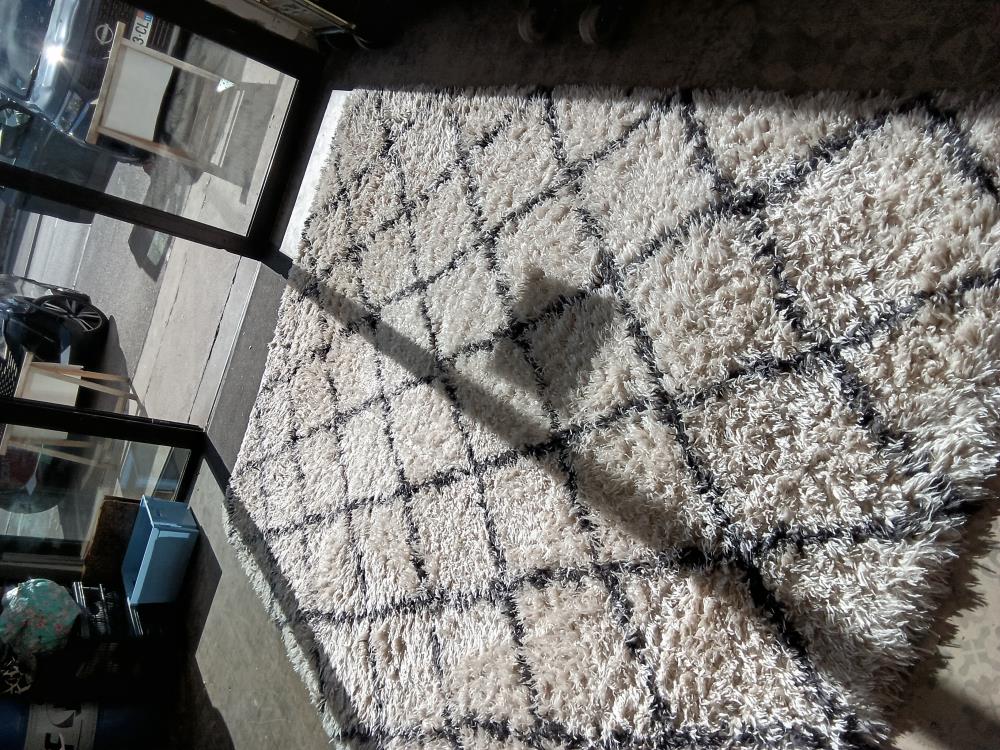 TAPIS MODERNE 295X210