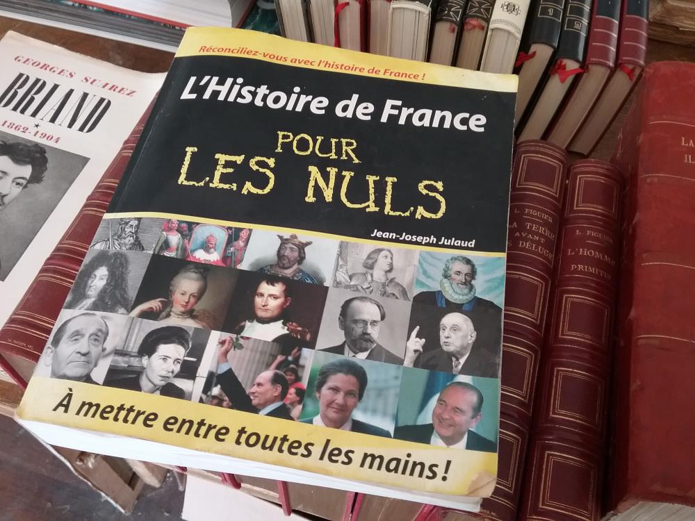 HISTOIRE DE FRANCE POUR LES NULS