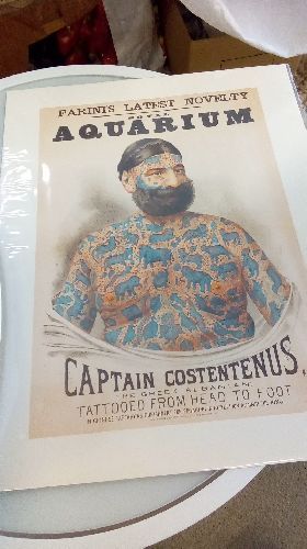 REPRO CAPTAIN CONSTANTENUS