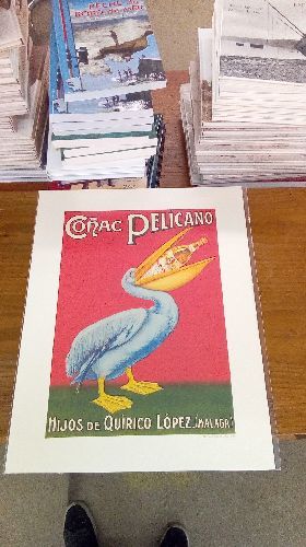 REPRO CONAC PELICANO