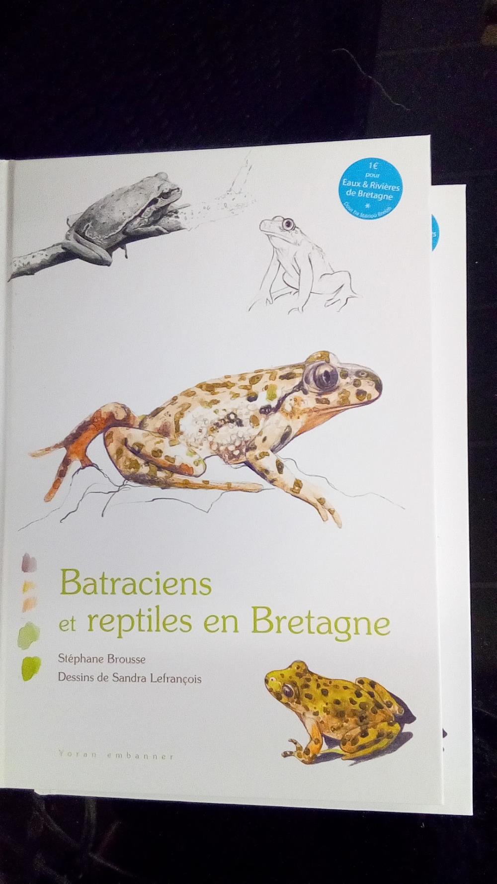 BATRACIENS EN REPTILES...