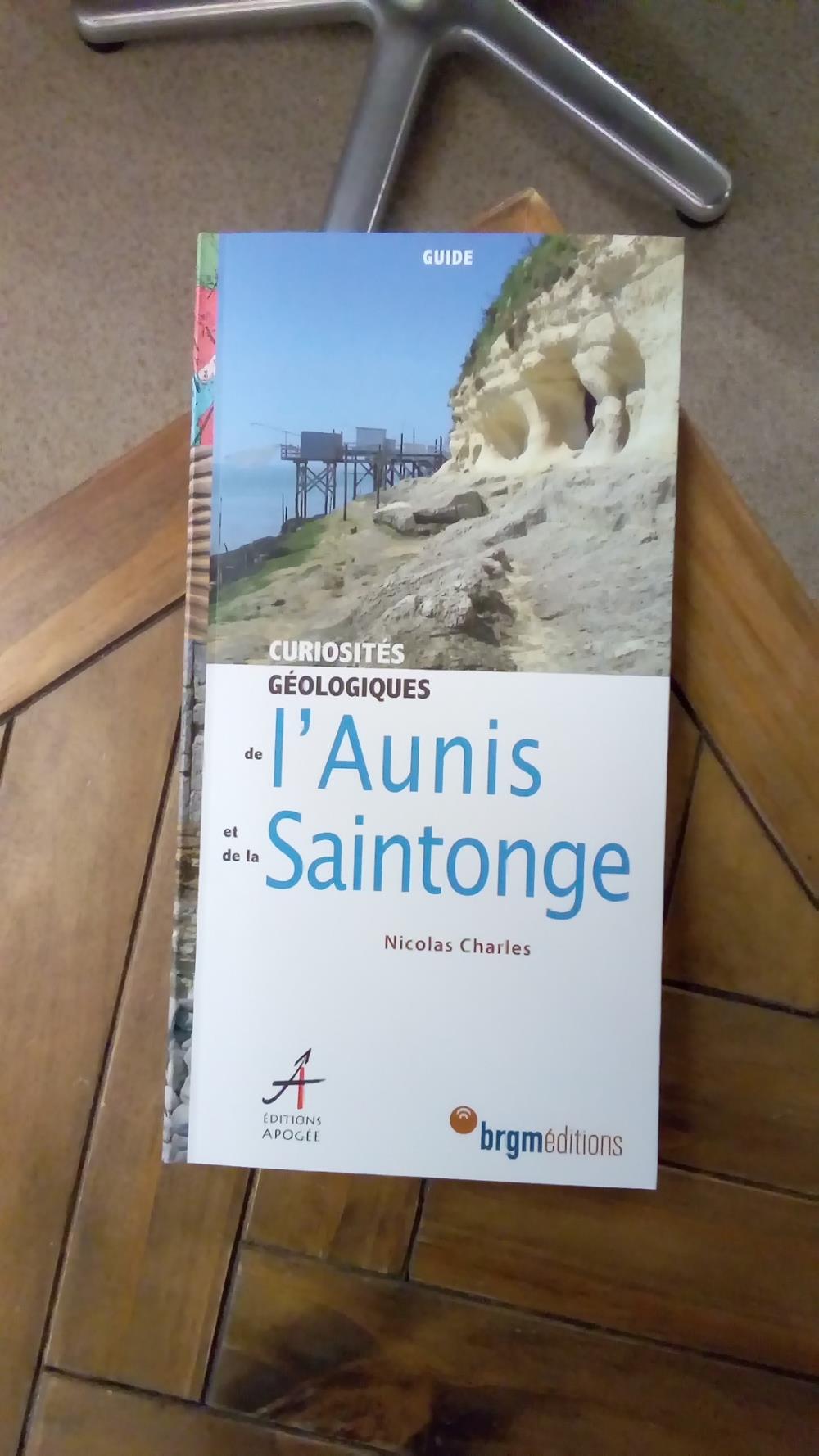 CURIOSITES AUNIS ET SAINTONGE