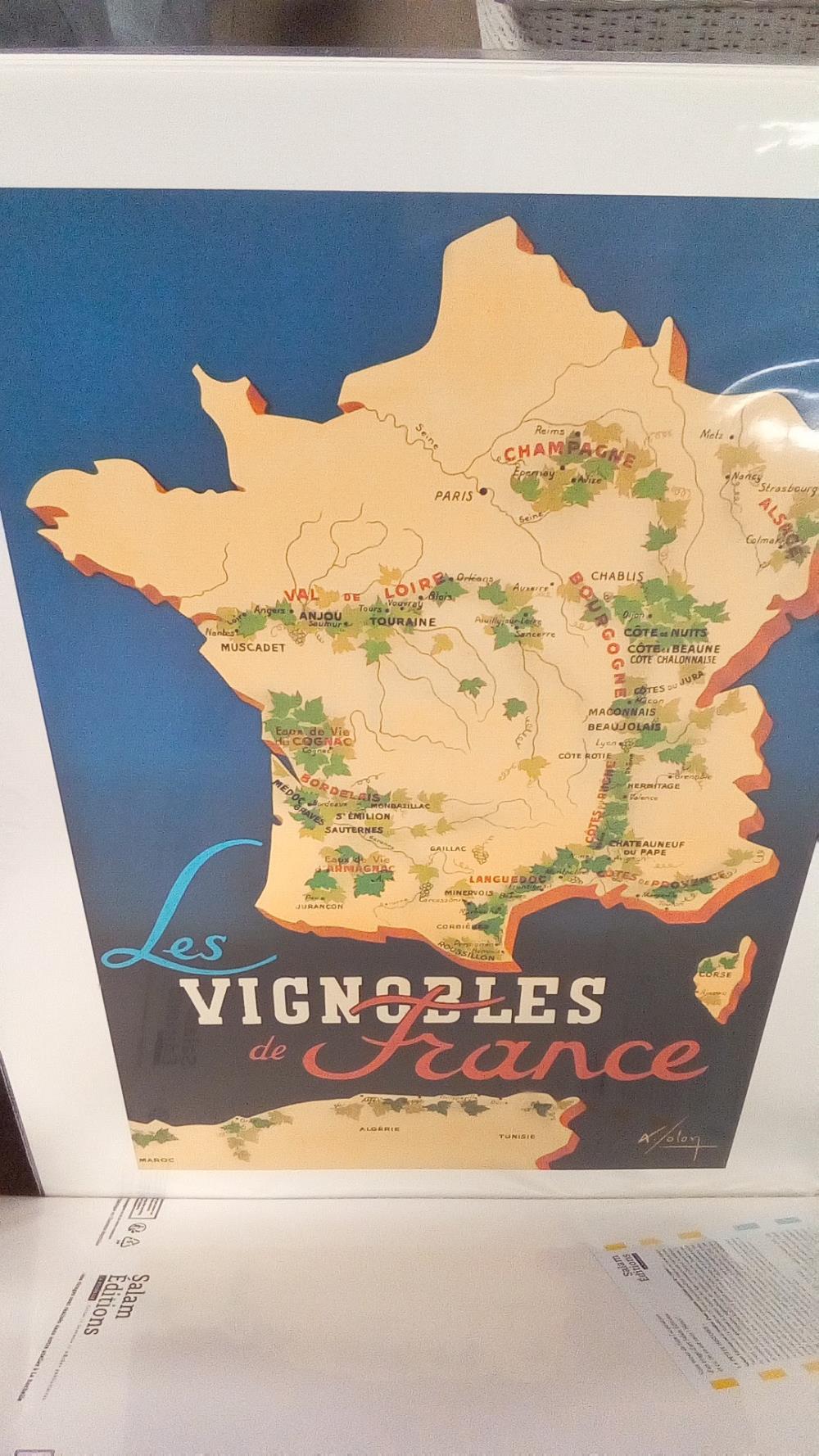 REPRO VIGNOBLES DE FRANCE