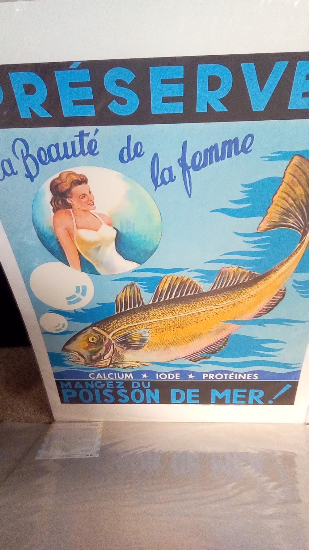 REPRO POISSON BEAUTE DE LA FEMME (GM)