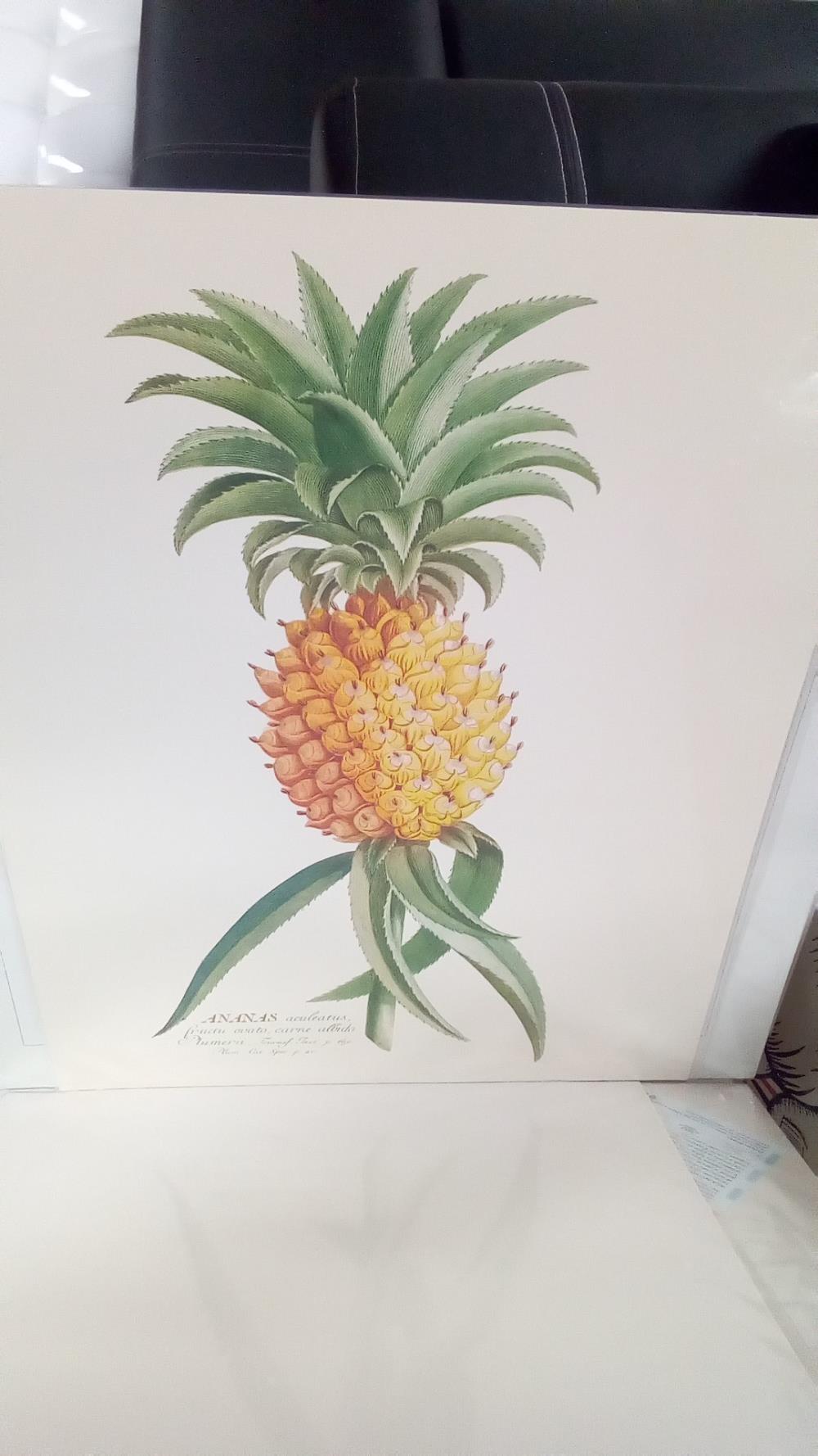 REPRO ANANAS BHL