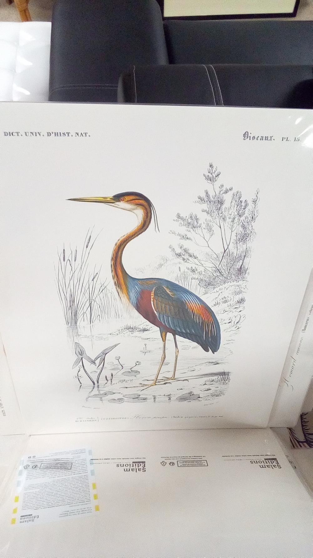 REPRO HERON