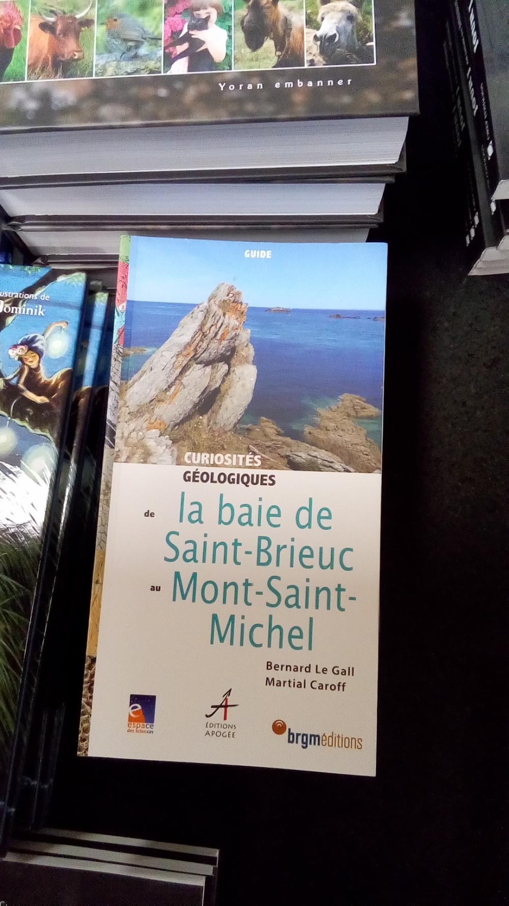 CURIOSITES BAIE DE SAINT-BRIEUC ET MONT ST MICHEL