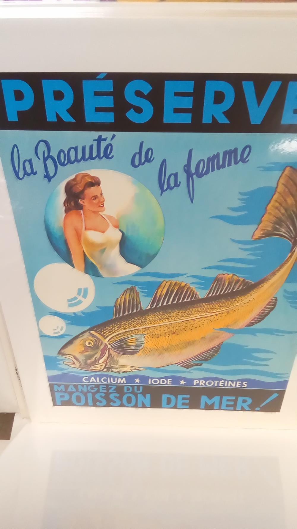 REPRO POISSON BEAUTE DE LA FEMME