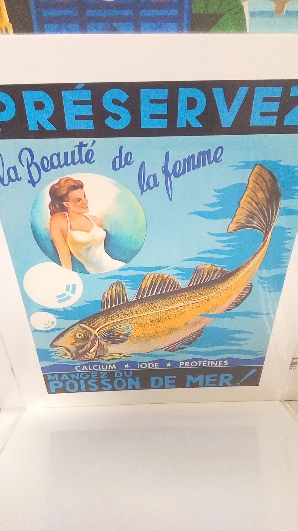 REPRO POISSON BEAUTE DE LA FEMME