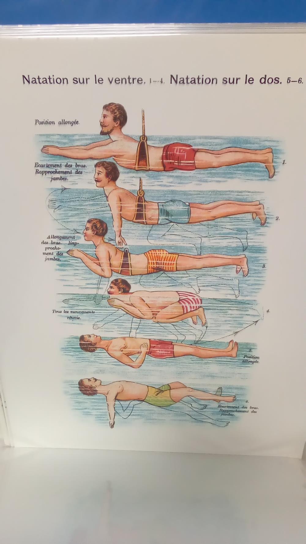 (40X50) NATATION SUR LE VENTRE SUR LE DOS