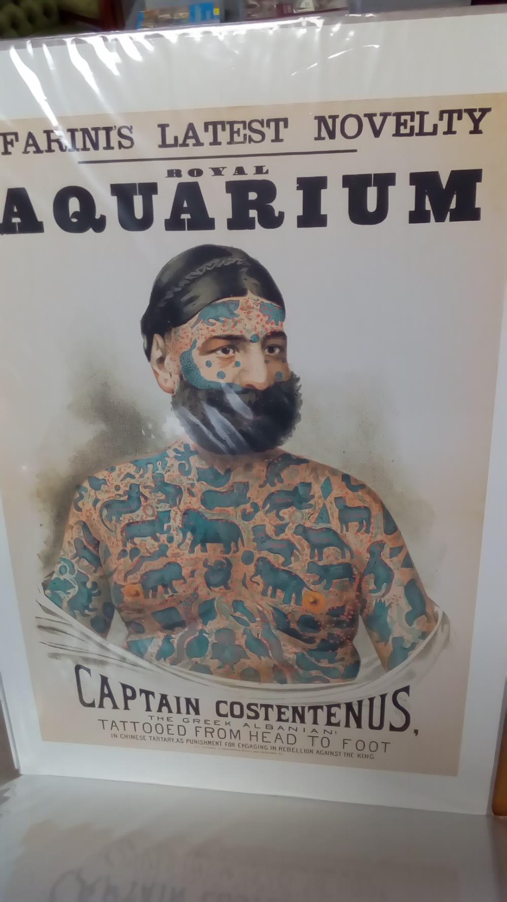 (50X70) CAPTAIN CONSTANTENUS  (GM)