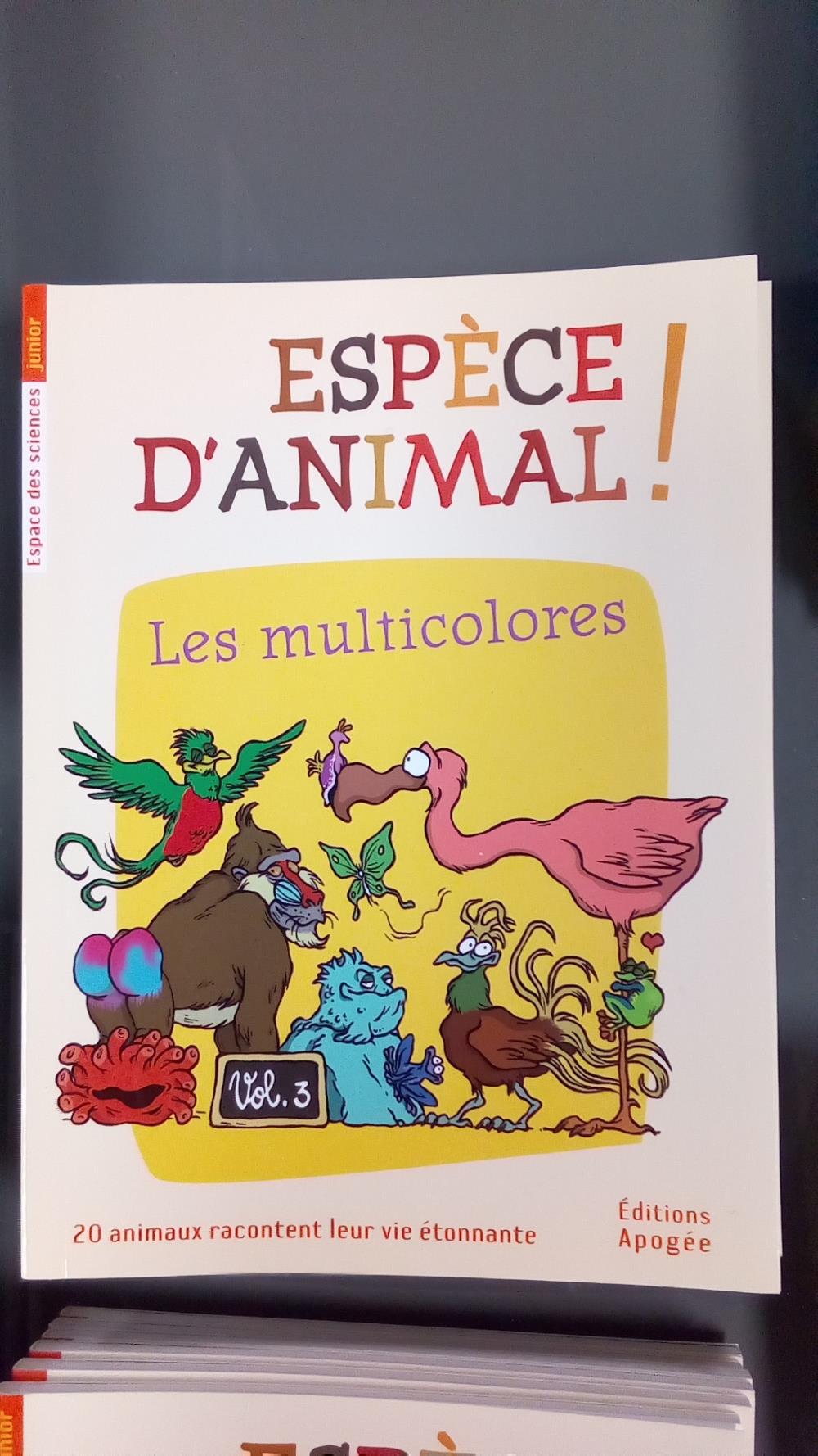 EA 03 - LES MULTICOLORES