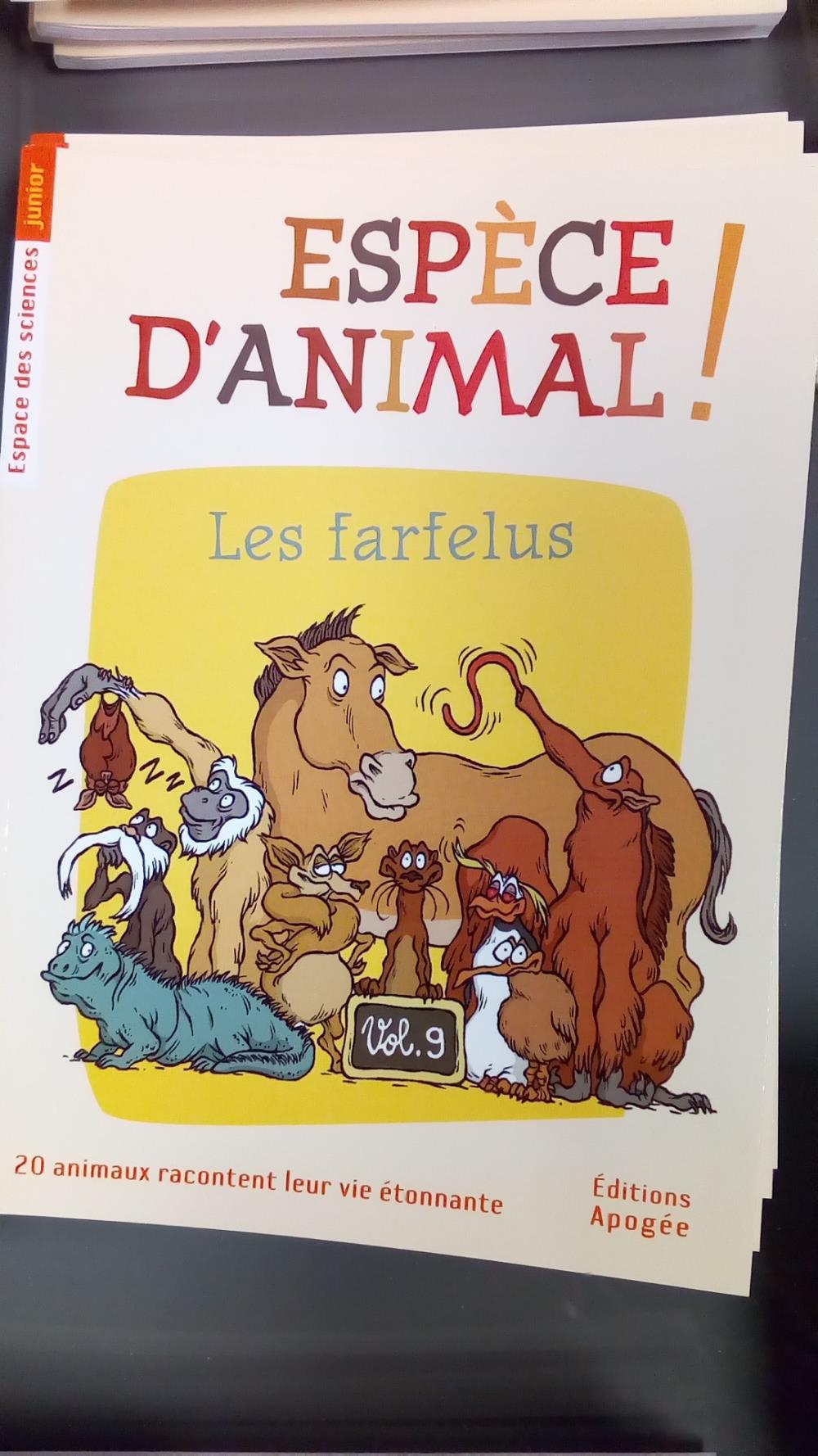 EA 09 - LES FARFELUS