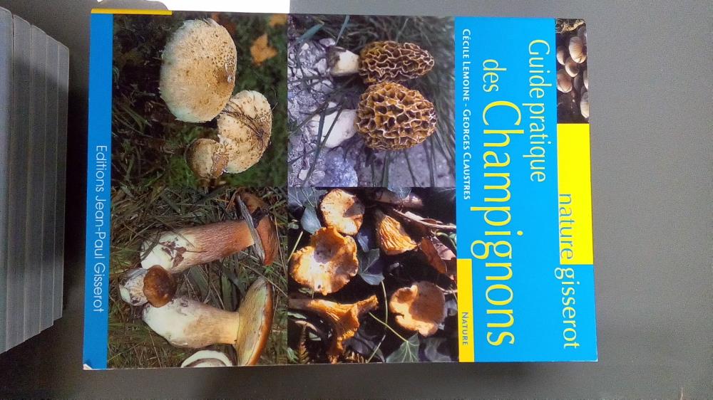 GUIDE PRATIQUE DES CHAMPIGNONS