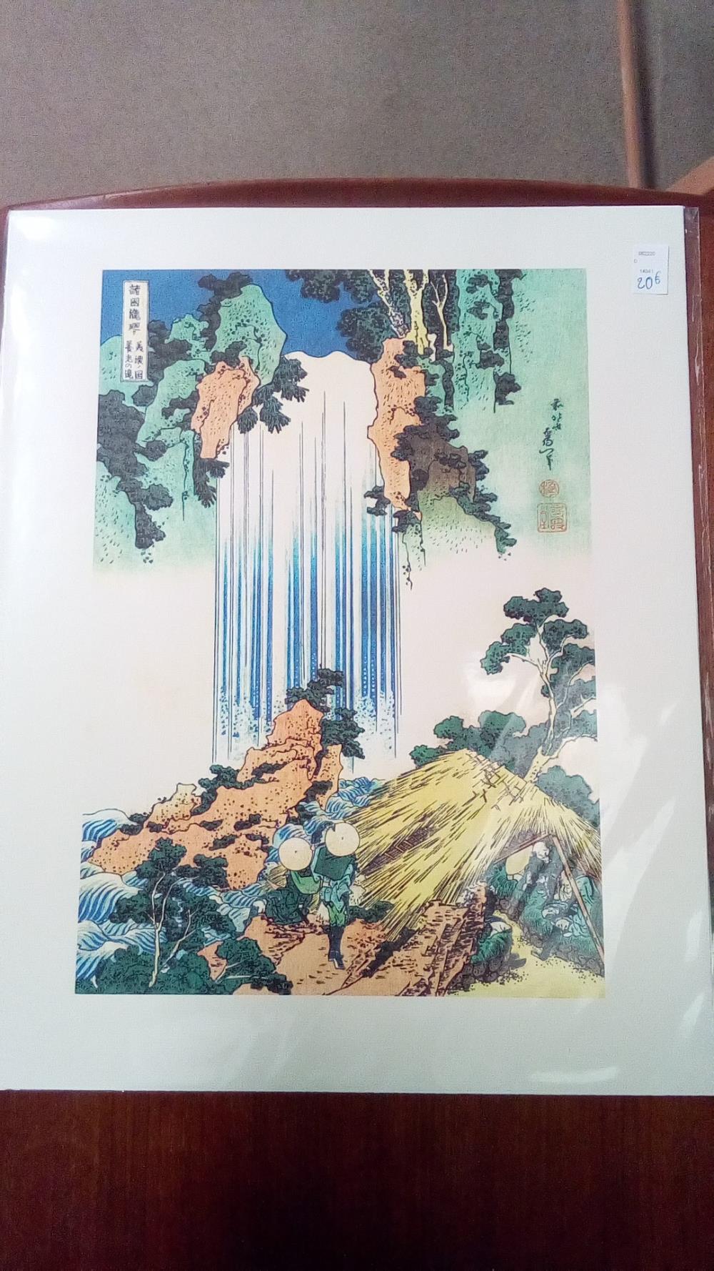 REPRO CASCADE DE YORO