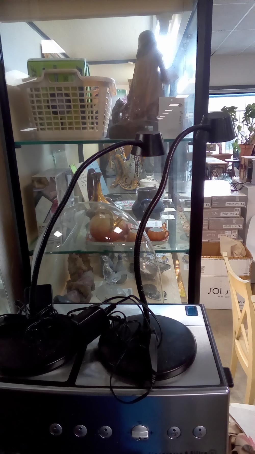 PAIRE DE LAMPES DE CHEVETS FLEXIBLES