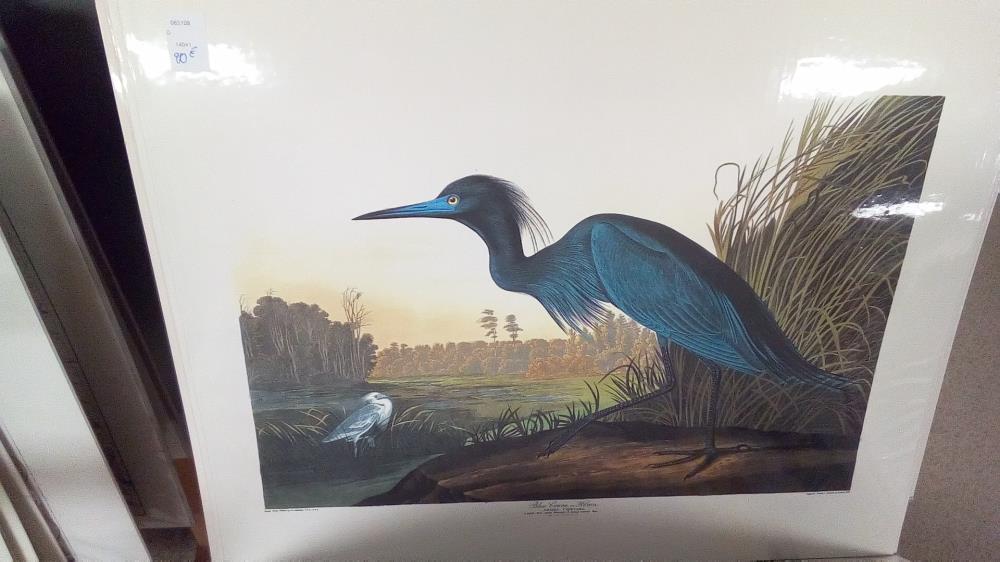 REPRO BLUE CRANE OR HERON