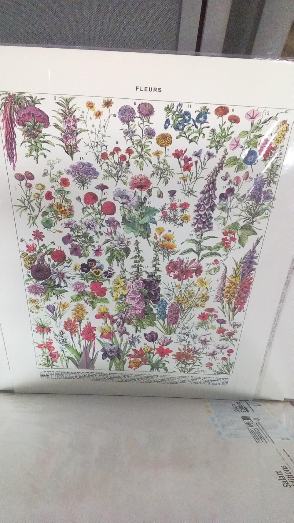 REPRO FLEURS ANNUELLES