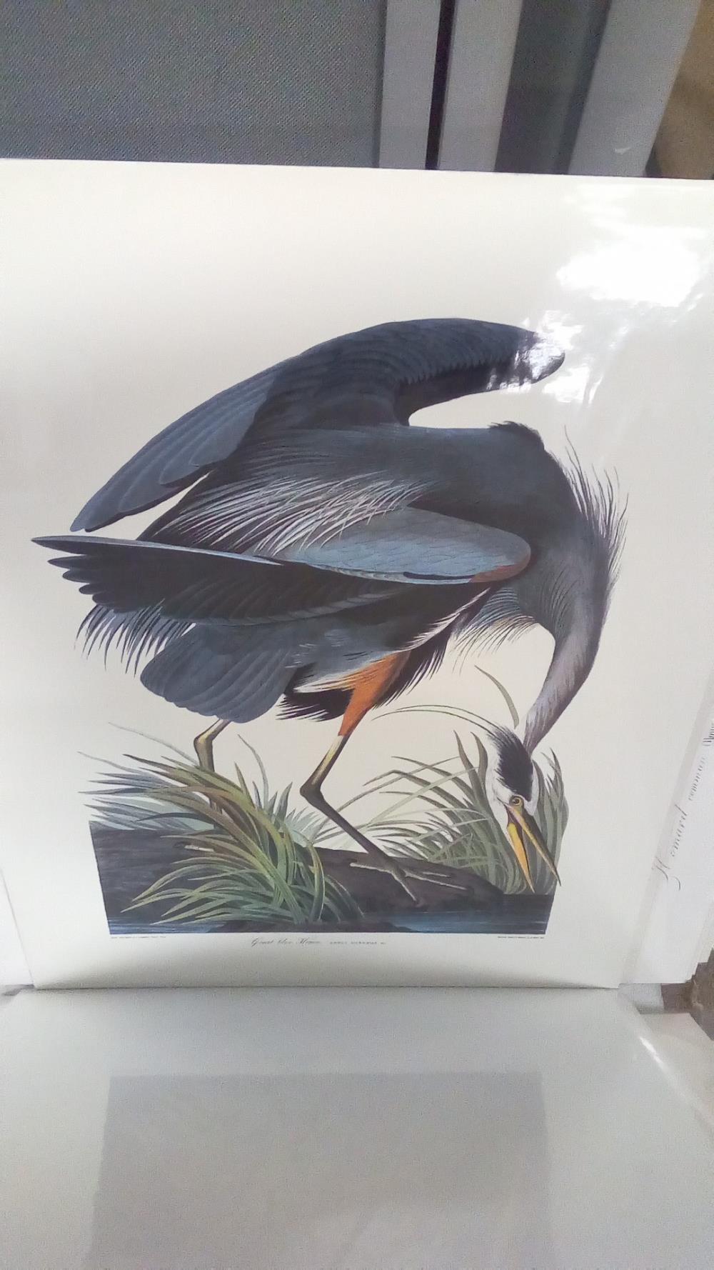 REPRO GREAT BLUE HERON