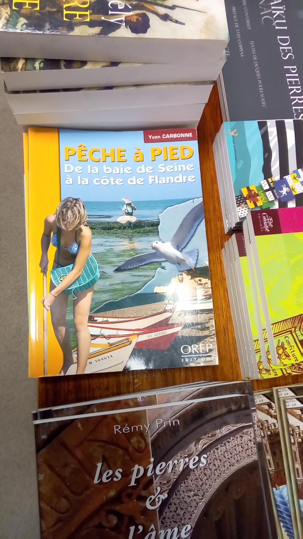 PECHE A PIED DE LA BAIE DE SEINE