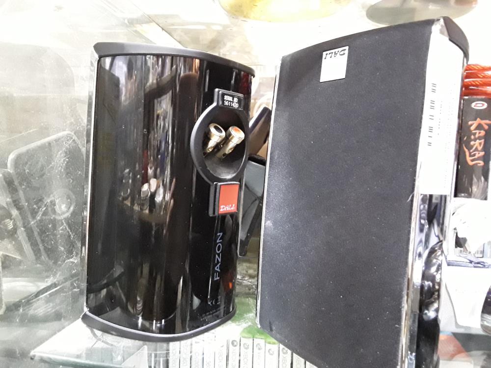 PAIRE D ENCEINTES DALI FAZON SERIAL NO 5611420 2X25W