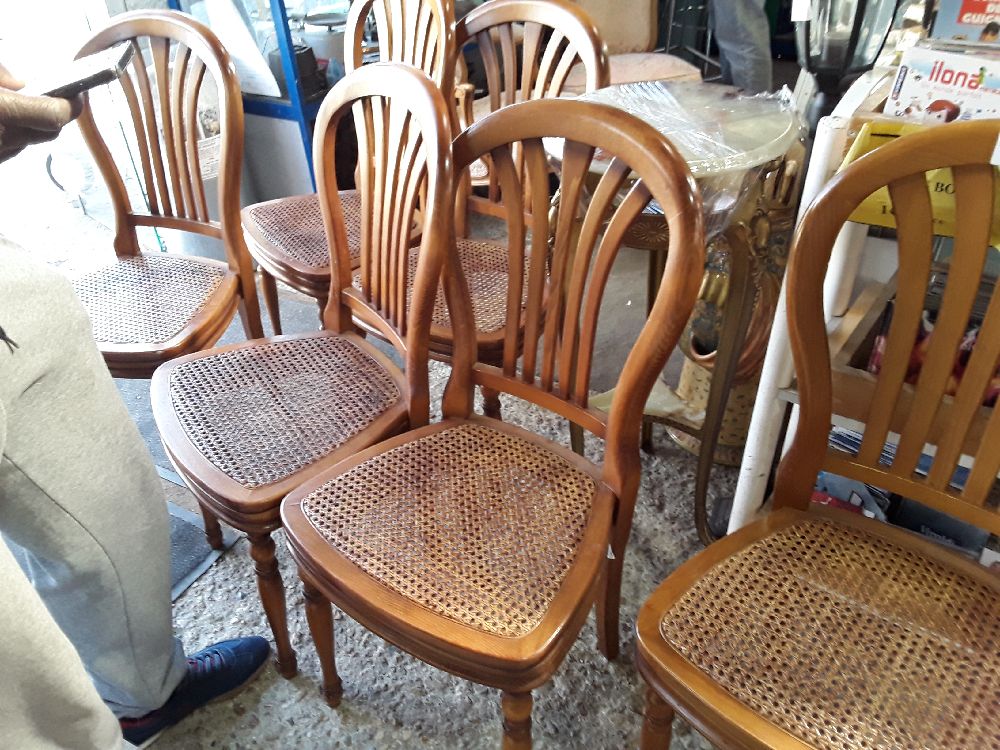 SERIE DE 6 CHAISES MERISIERDOSSIER PALME  ASSISE CANNE