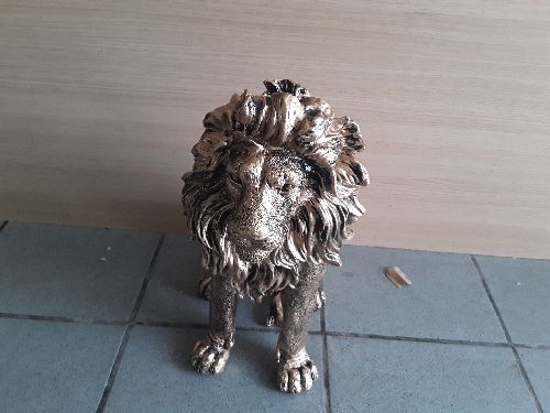 LION ASSIS DORE