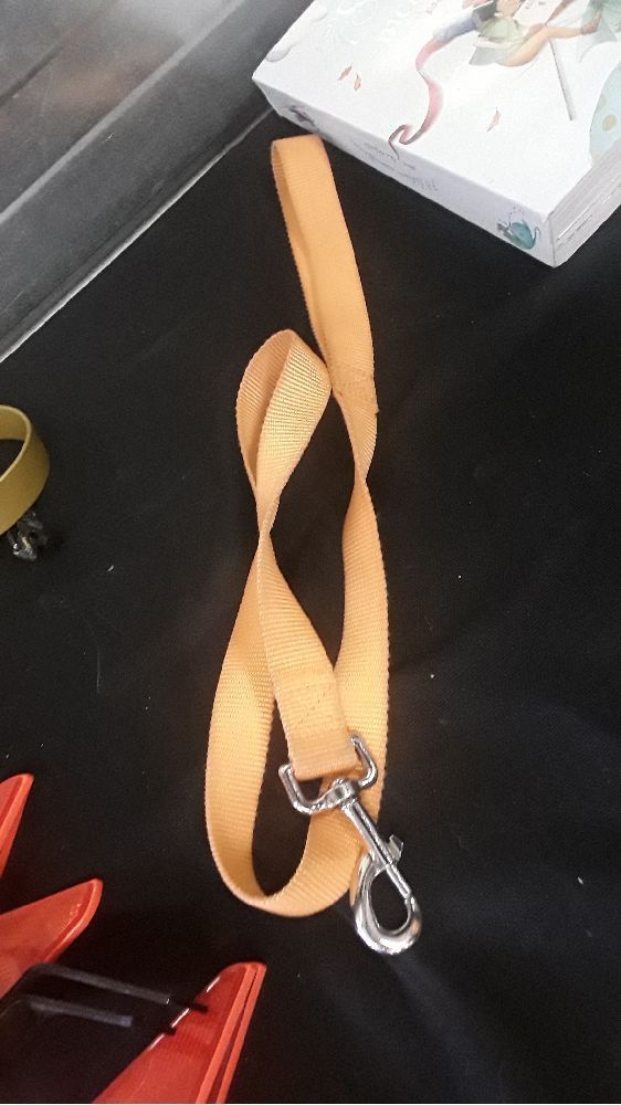 LAISSE ORANGE 