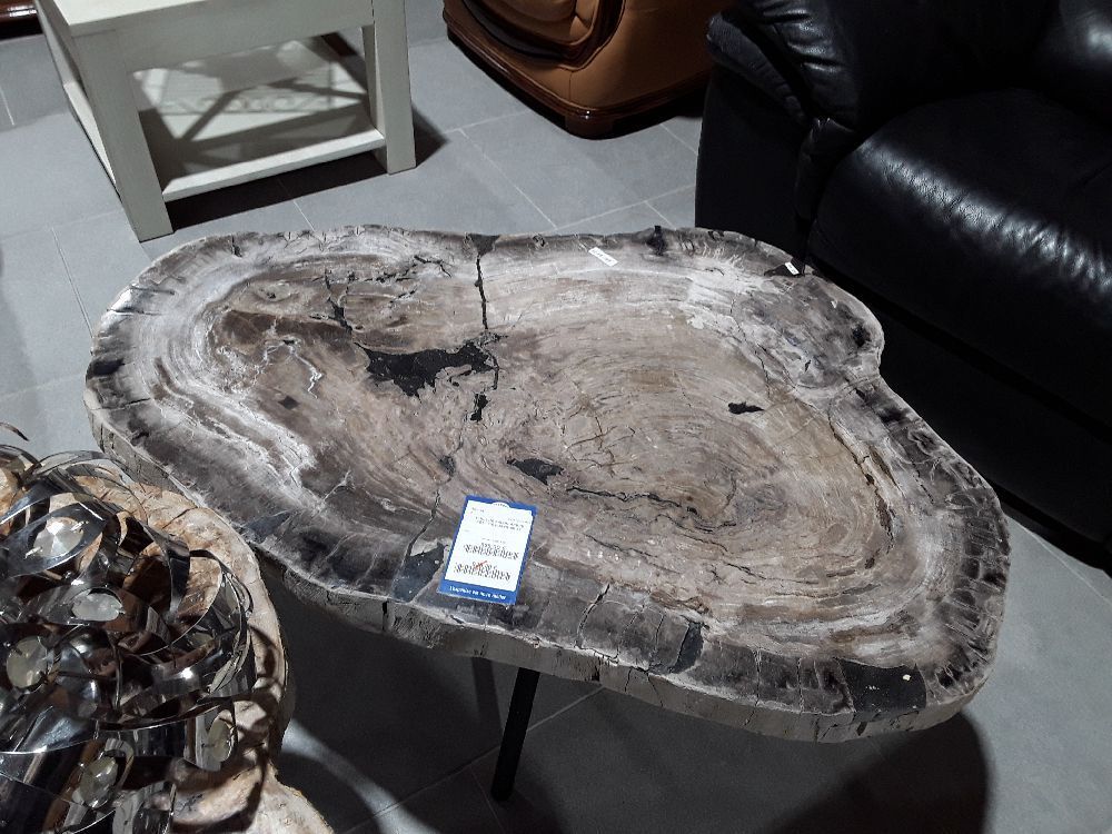 TABLE DE SALON  ARBRE PÉTRIFIÉ FOSSILISÉ 52